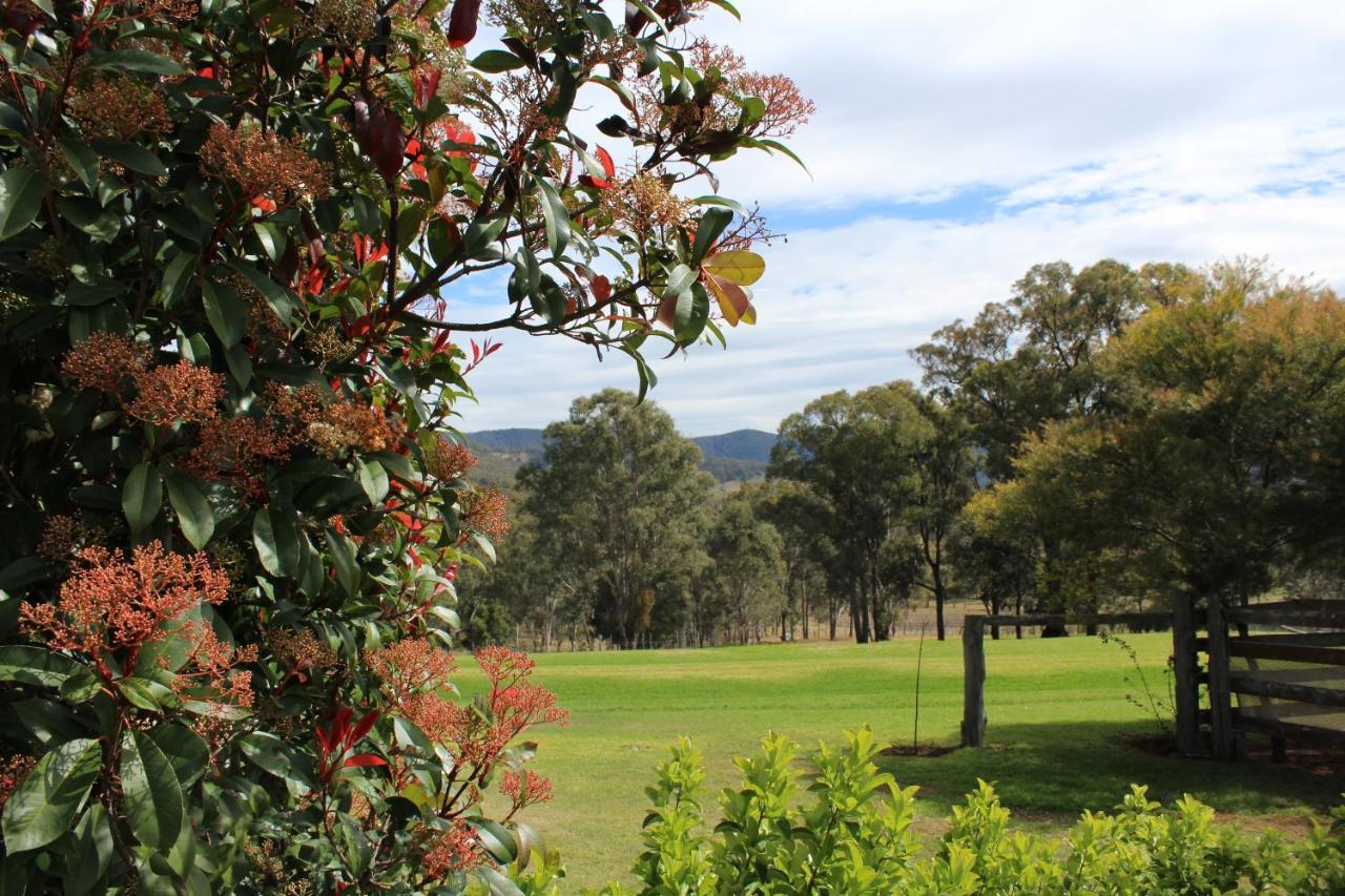 Elfin Hill Vineyard Accommodation Pokolbin Exterior foto
